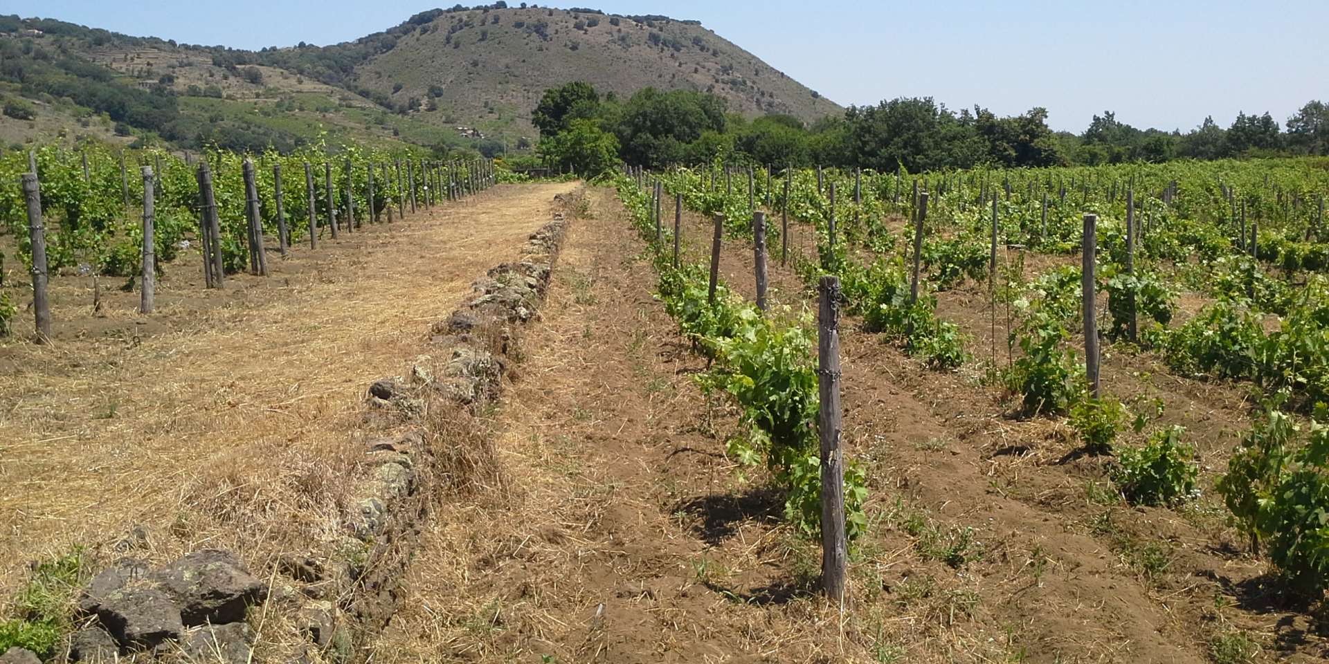 Monte Gorna