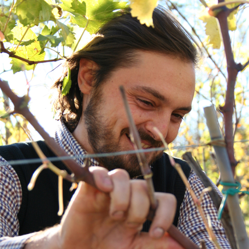 Marco Cecchini