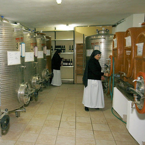 Vini Evaristiano